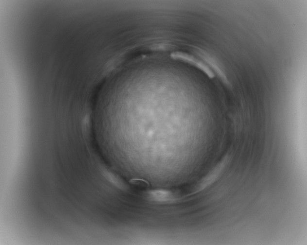 X0000115560265200911131633