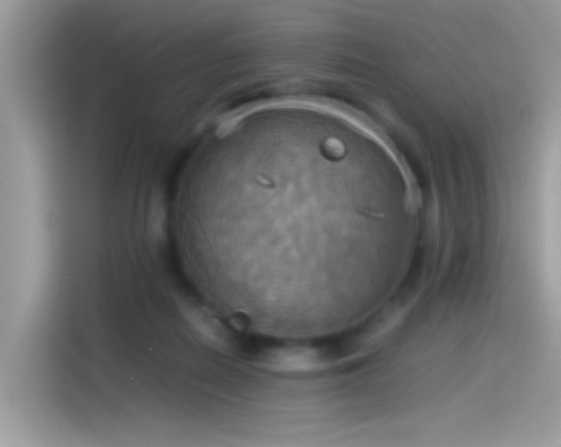 X0000115560266200911131633