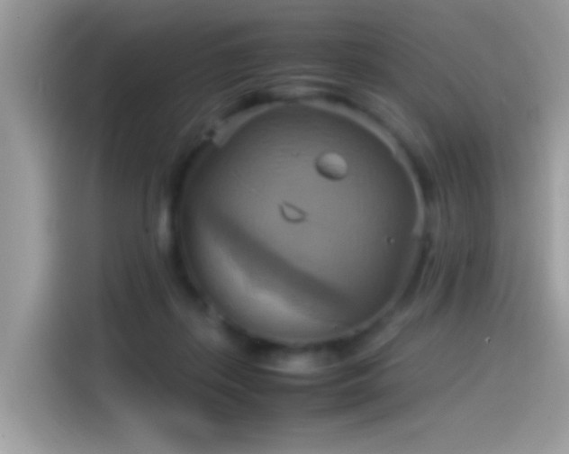 X0000115560267200911131633