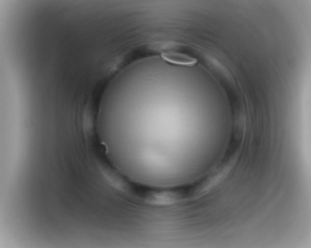 X0000115560268200911131633