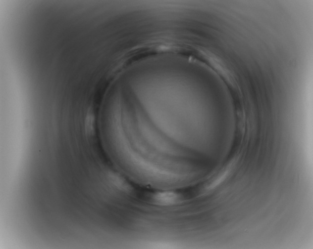 X0000115560269200911131633