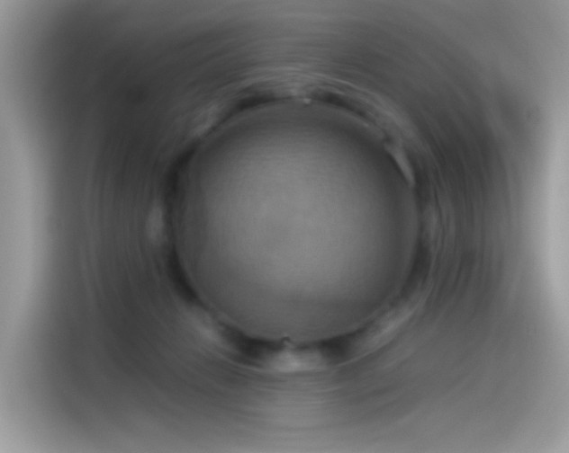 X0000115560270200911131633