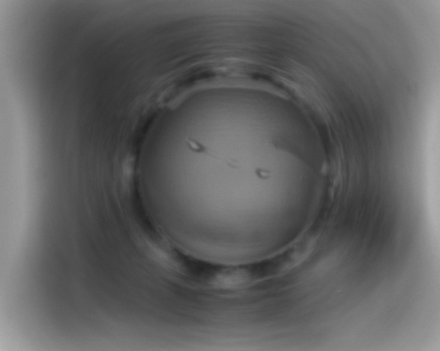 X0000115560271200911131633