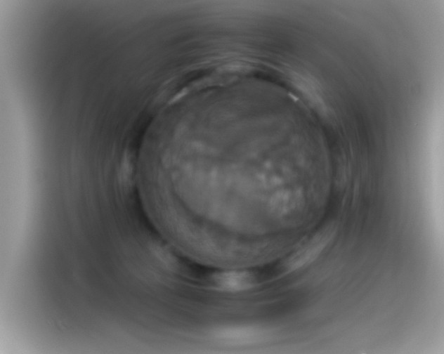 X0000115560273200911131633