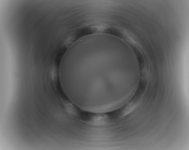 X0000115560274200911131633