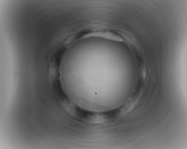 X0000115560276200911131633