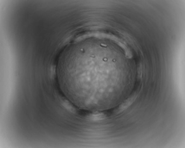 X0000115560278200911131633