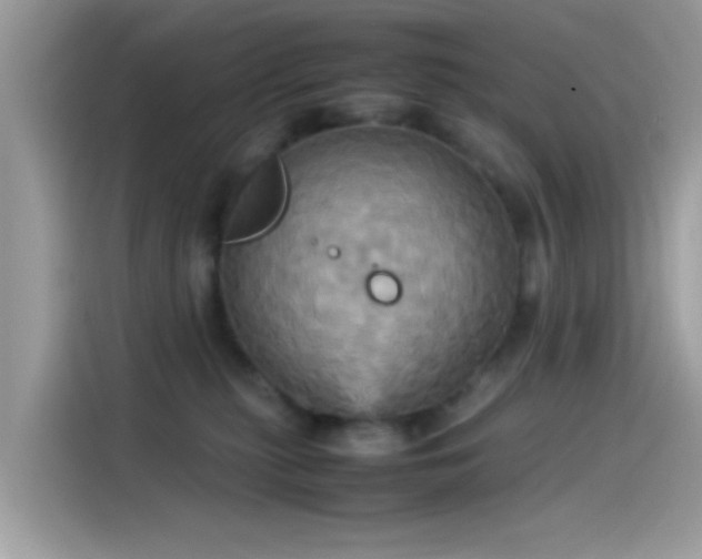 X0000115560279200911131633