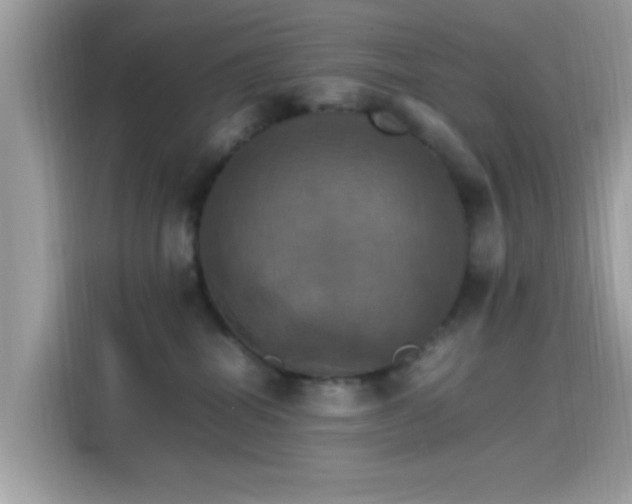 X0000115560282200911131633