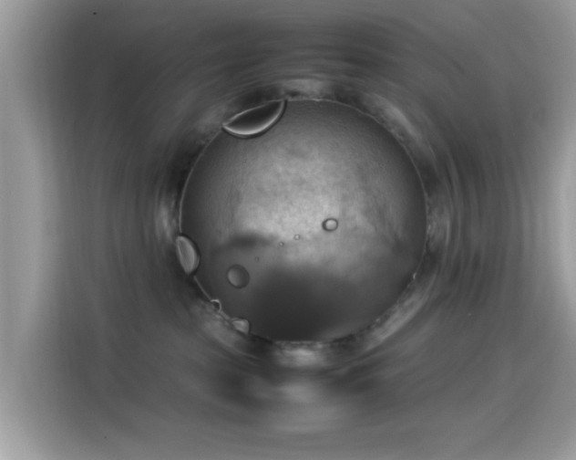 X0000115560285200911131633