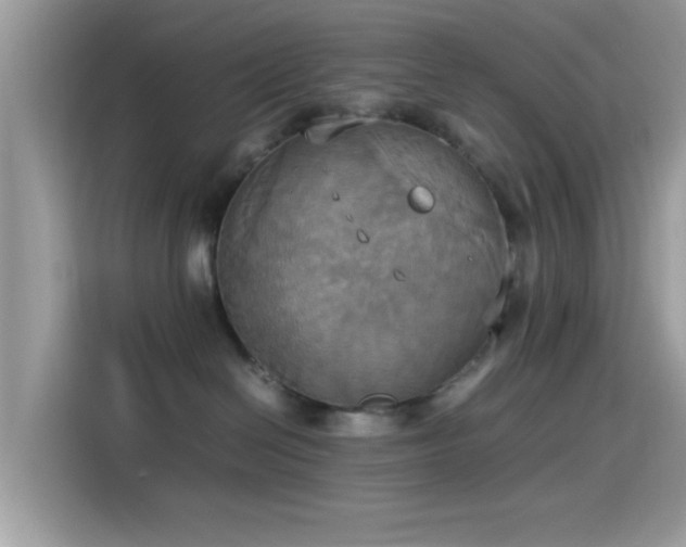 X0000115560286200911131633