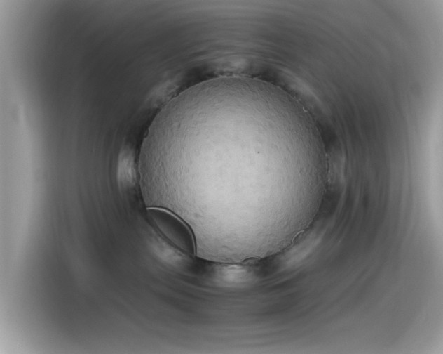 X0000115560287200911131633