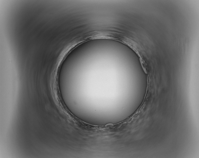 X0000115560289200911131632