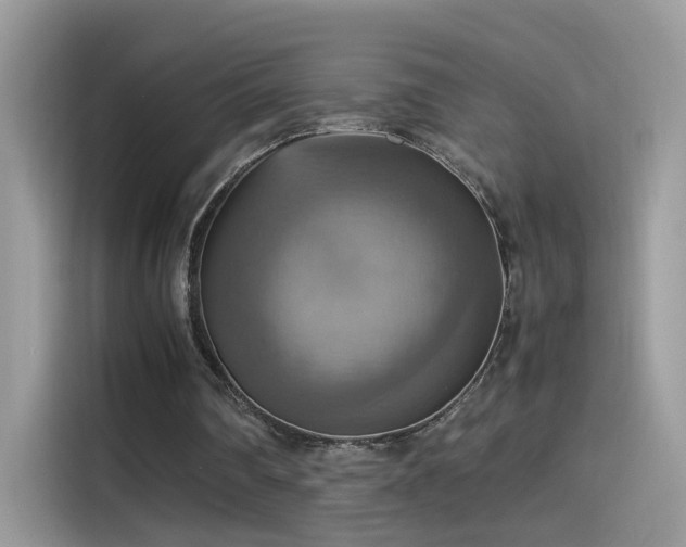 X0000115560290200911131632