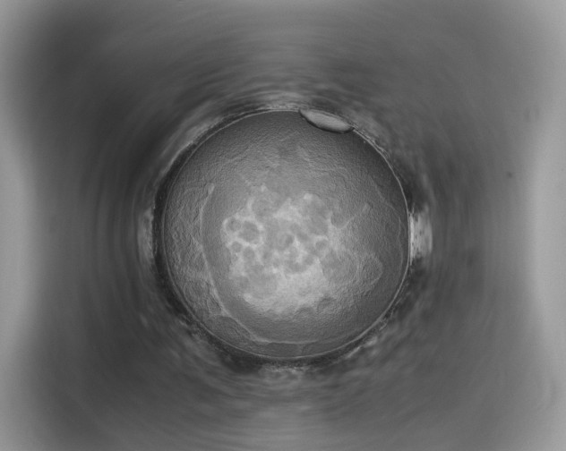 X0000115560291200911131632