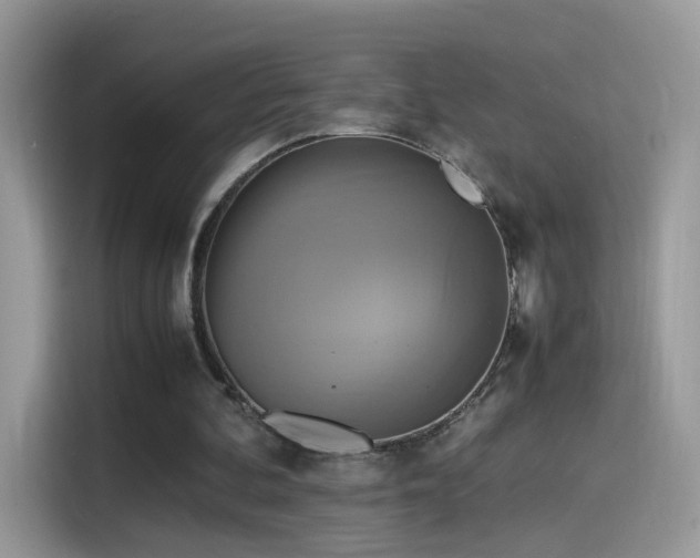 X0000115560292200911131632