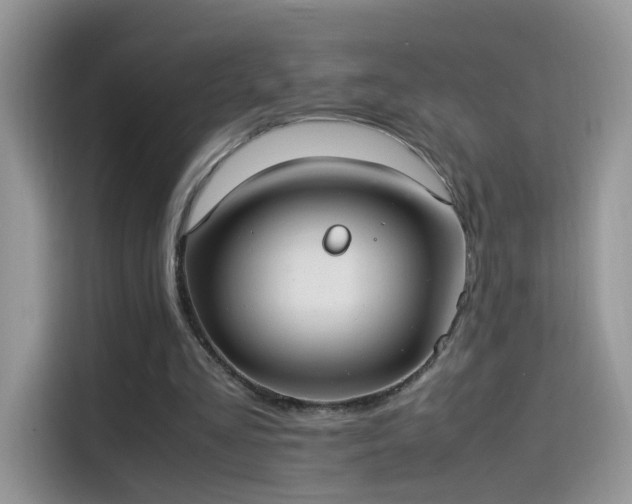 X0000115560293200911131632