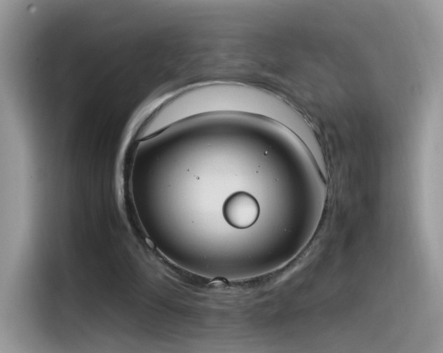 X0000115560294200911131632