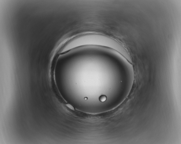 X0000115560296200911131632