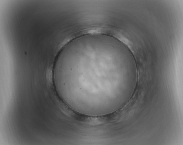 X0000115560297200911131632