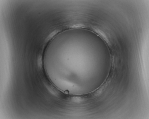 X0000115560298200911131632