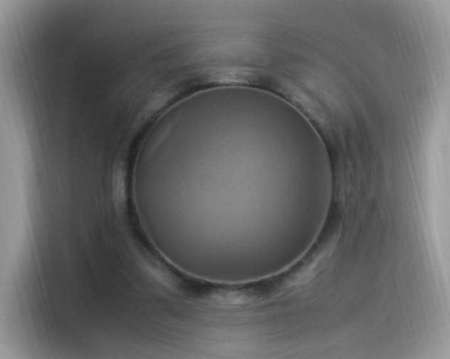 X0000115560299200911131632