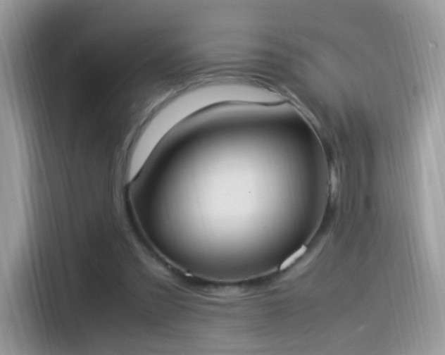 X0000115560301200911131632