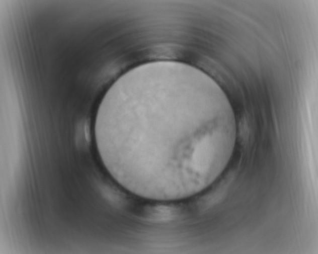 X0000115560302200911131632