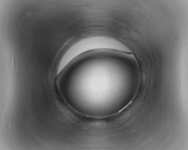 X0000115560304200911131632