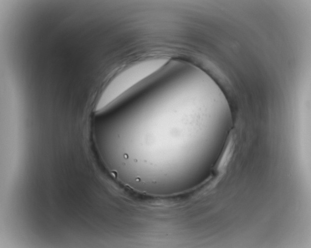 X0000115560305200911131632