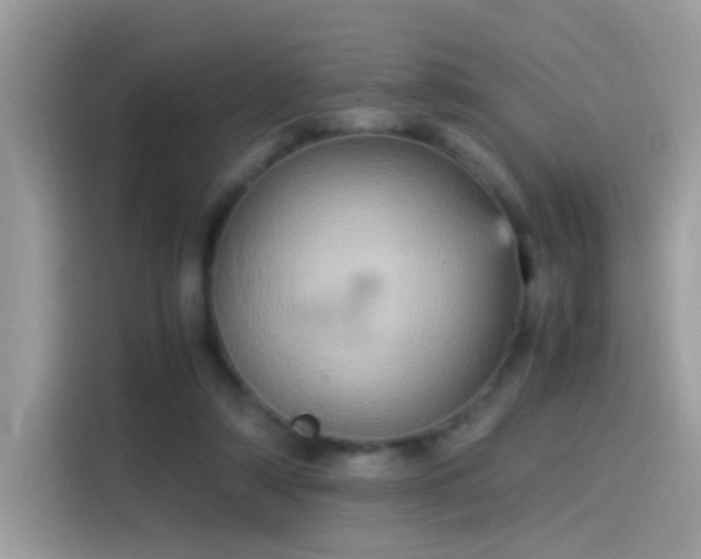 X0000115560306200911131632