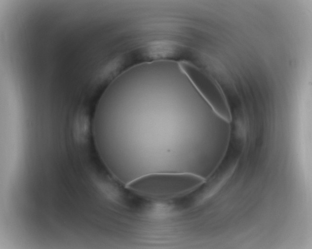 X0000115560308200911131632