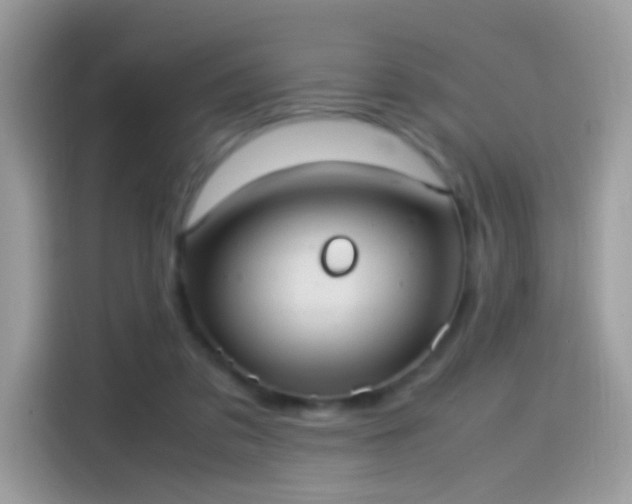 X0000115560309200911131632