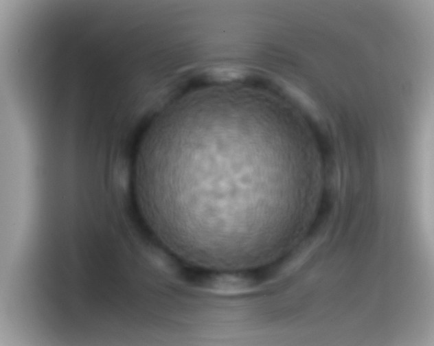 X0000115560315200911131632