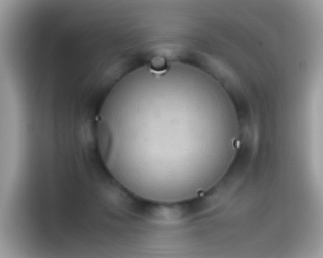 X0000115560317200911131632