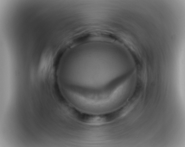 X0000115560319200911131632