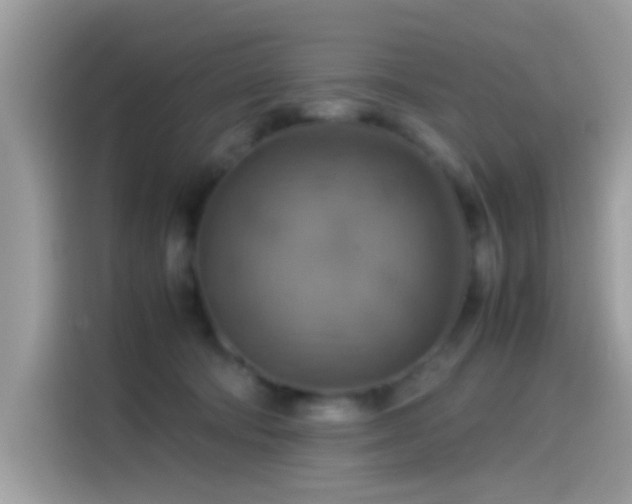 X0000115560322200911131632