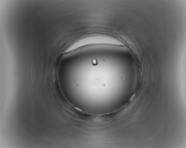 X0000115560325200911131632