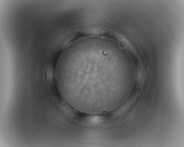 X0000115560326200911131632