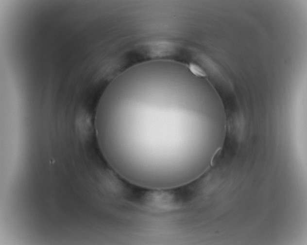 X0000115560327200911131632