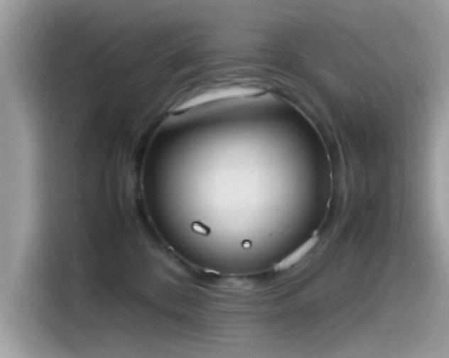 X0000115560328200911131632