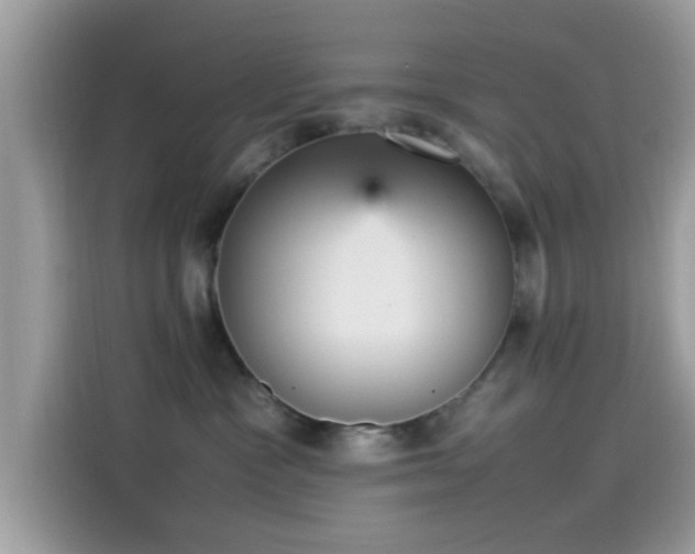 X0000115560333200911131632