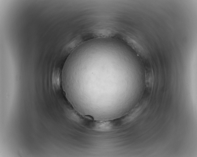 X0000115560334200911131632