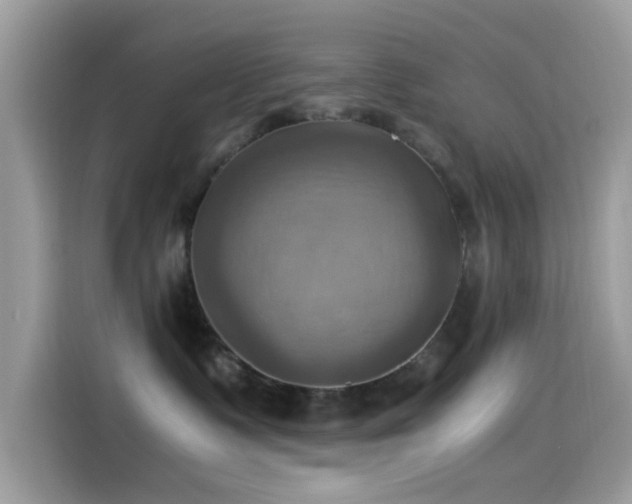 X0000115560335200911131632