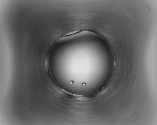 X0000115560336200911131632