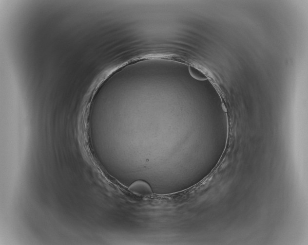 X0000115560337200911131631