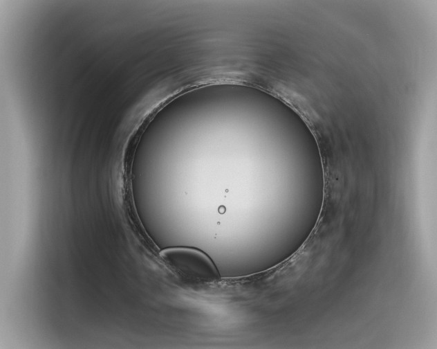 X0000115560338200911131631