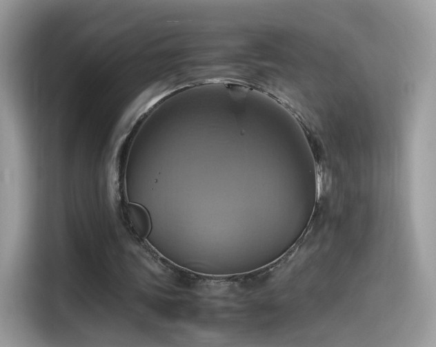 X0000115560339200911131631