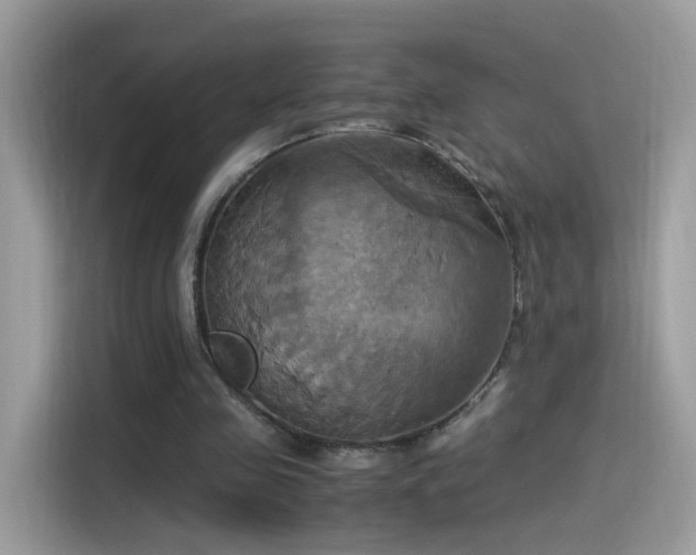 X0000115560341200911131631