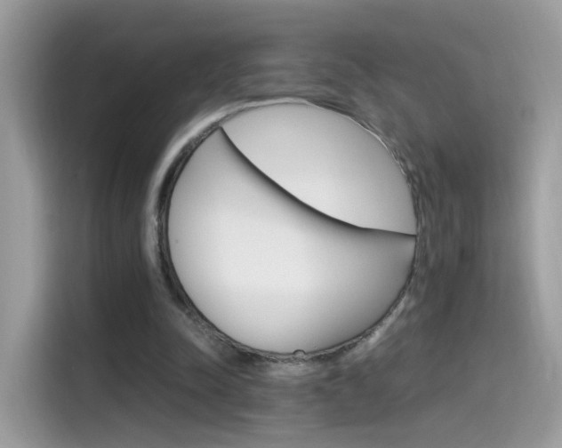 X0000115560342200911131631